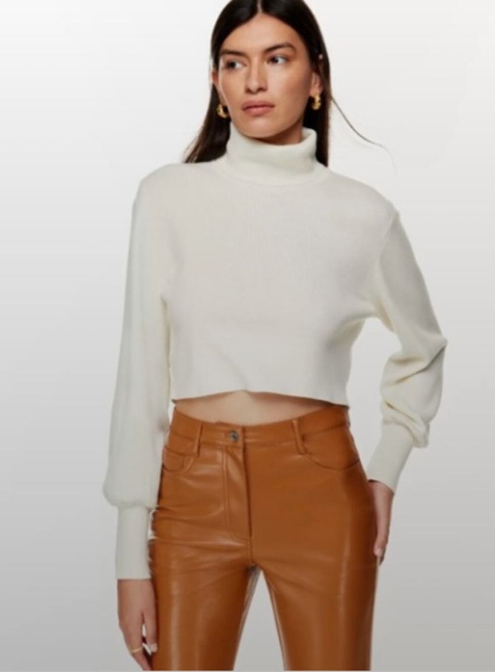 Wilfred Rebecca Cropped Turtleneck Sweater Wool Cotton Blend XS